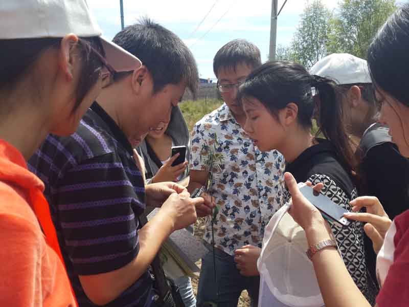 4林长春老师指导学生采集植物标本.jpg